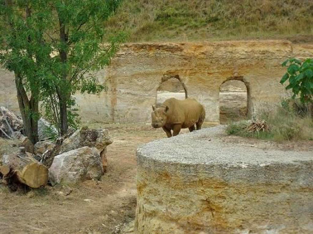 149 BIO PARC DE DOUE LA FONTAINE 4- 2016_000011.jpg